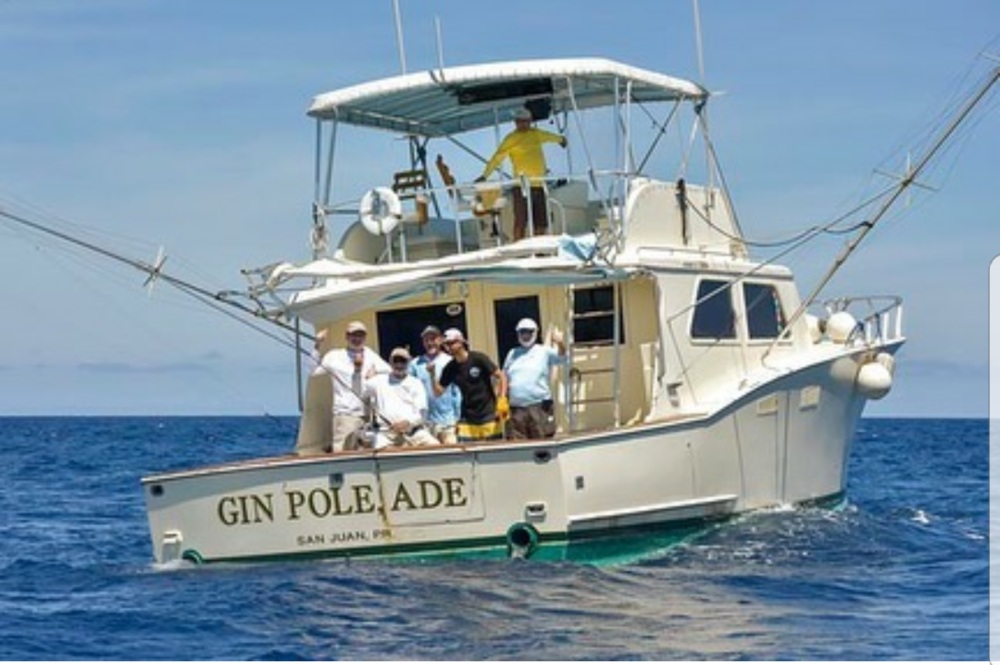 Gin Pole Ade