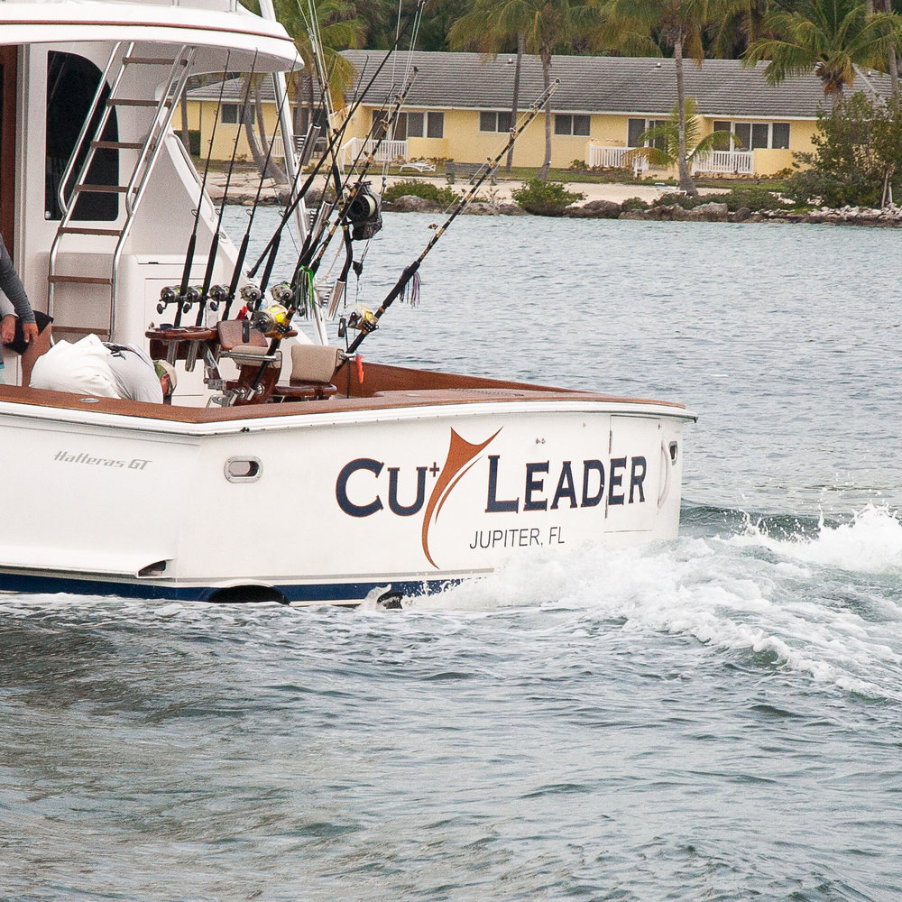 Cu+ Leader