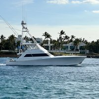 Chasin' Tail