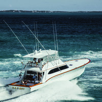 DA Sea