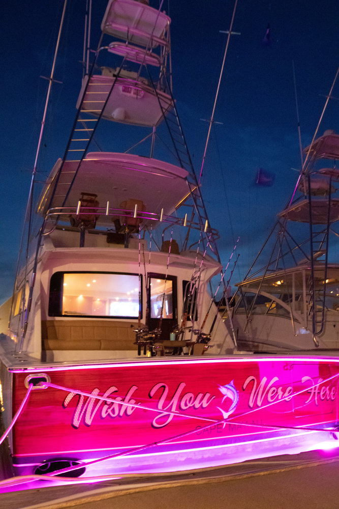 Wish You Were Here