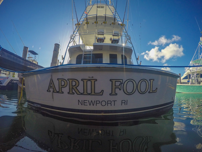 April Fool photo