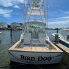 Bird Dog