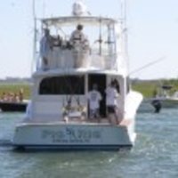 Pig Rig