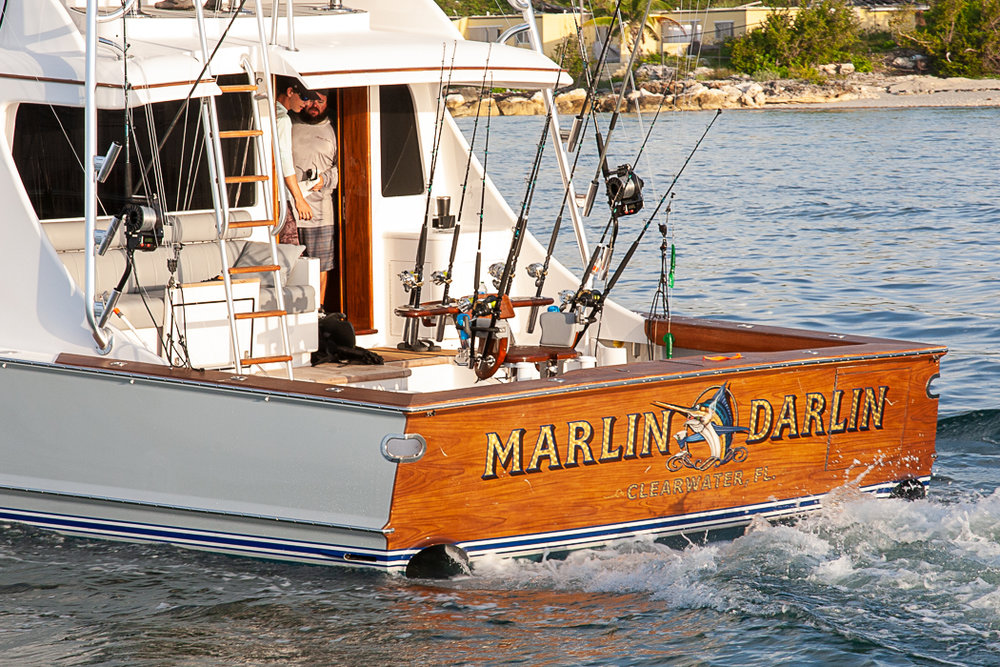 Marlin Darlin photo