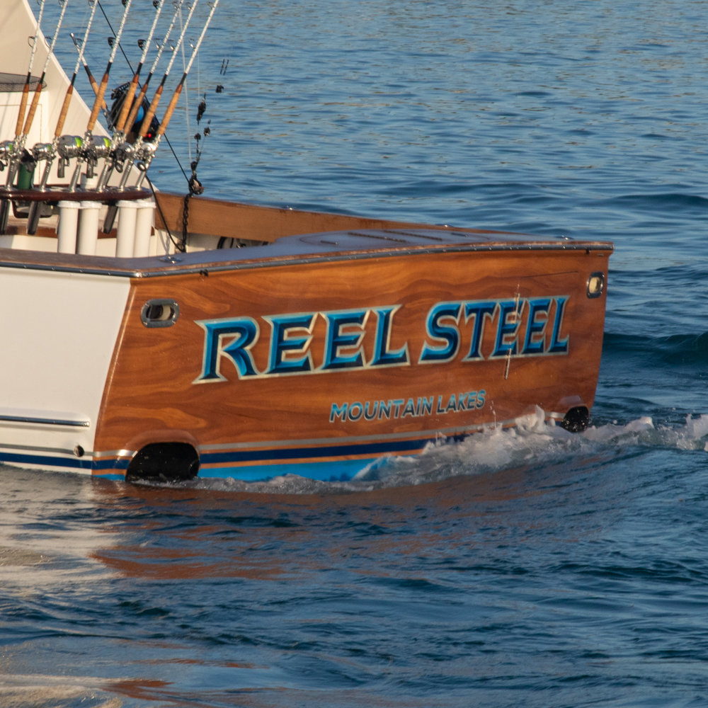 Reel Steel photo