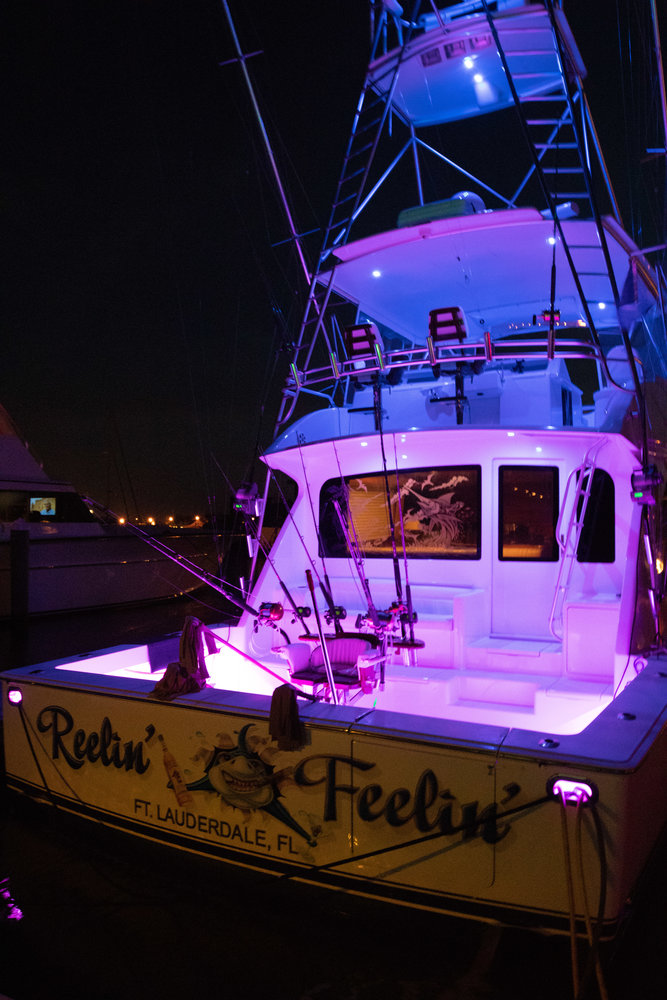 Reelin Feelin