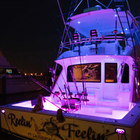 Reelin Feelin