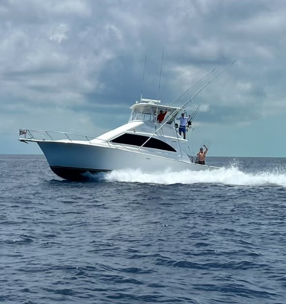 Barracuda