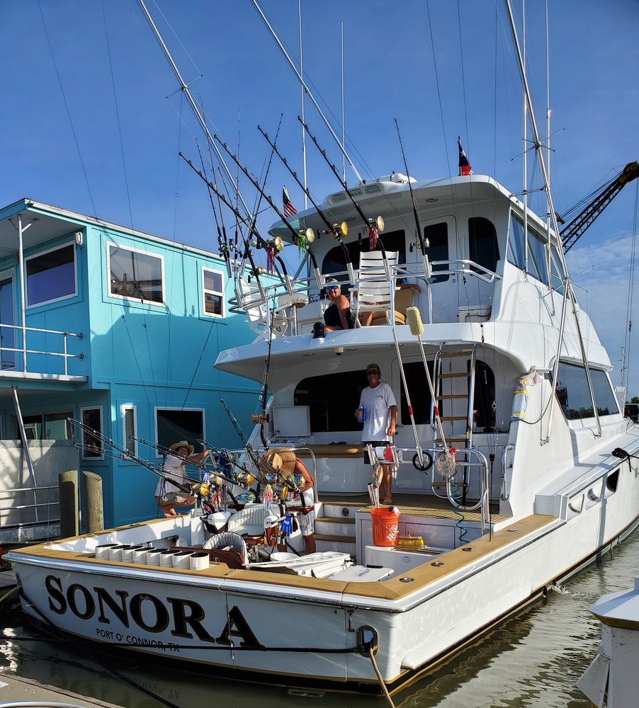 SONORA photo