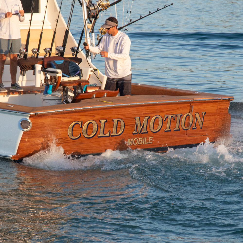 Cold Motion photo