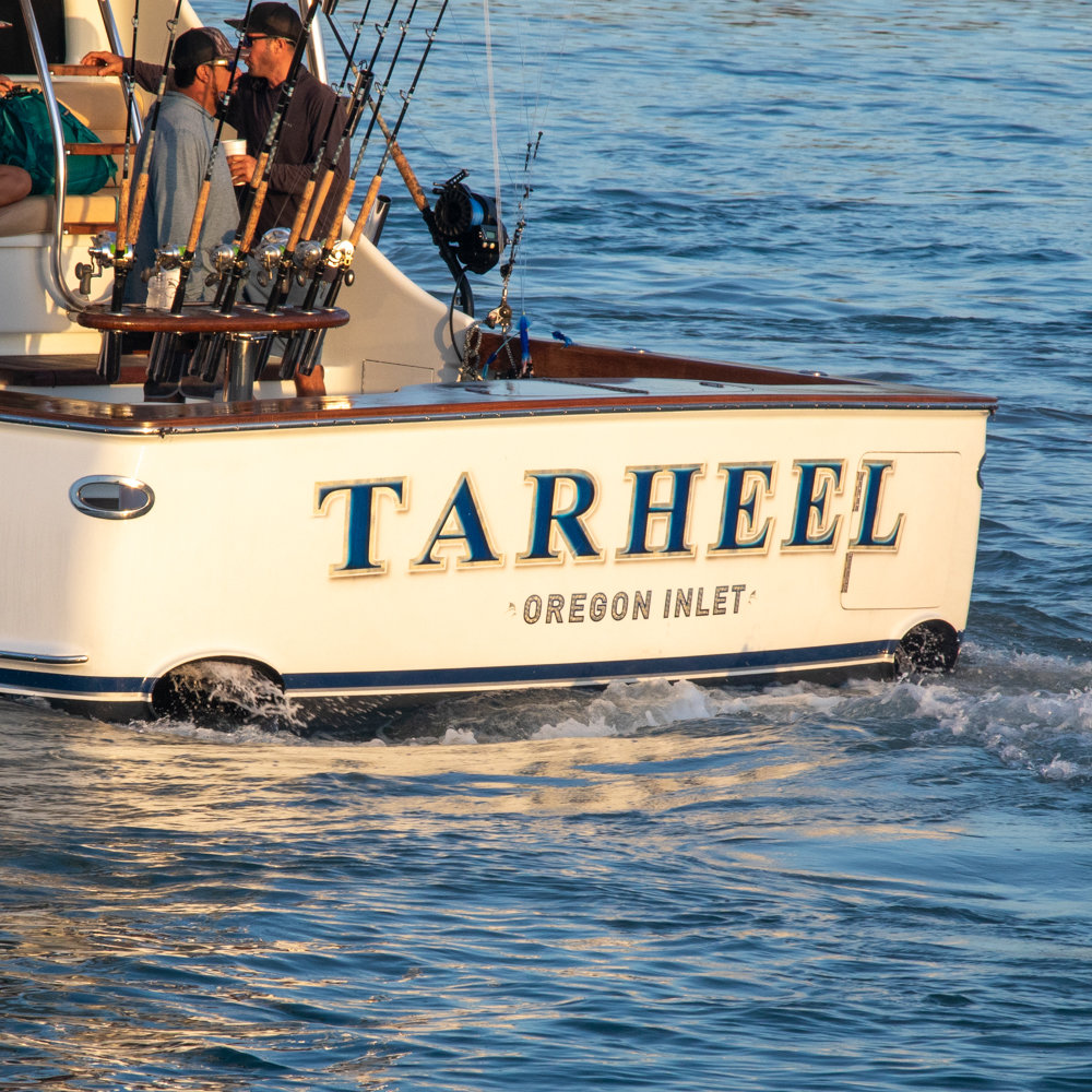 Tarheel photo