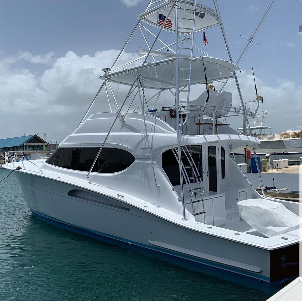 NEW BITE