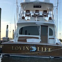 Lovin' Life