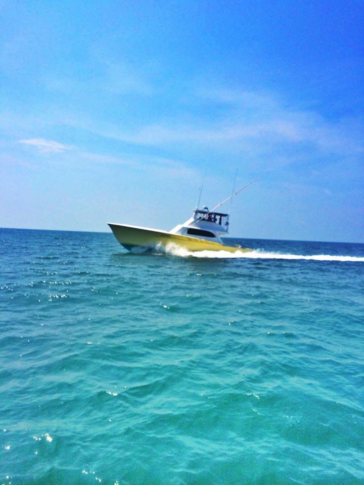 Yellowfin photo