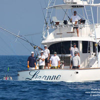 Lizanne
