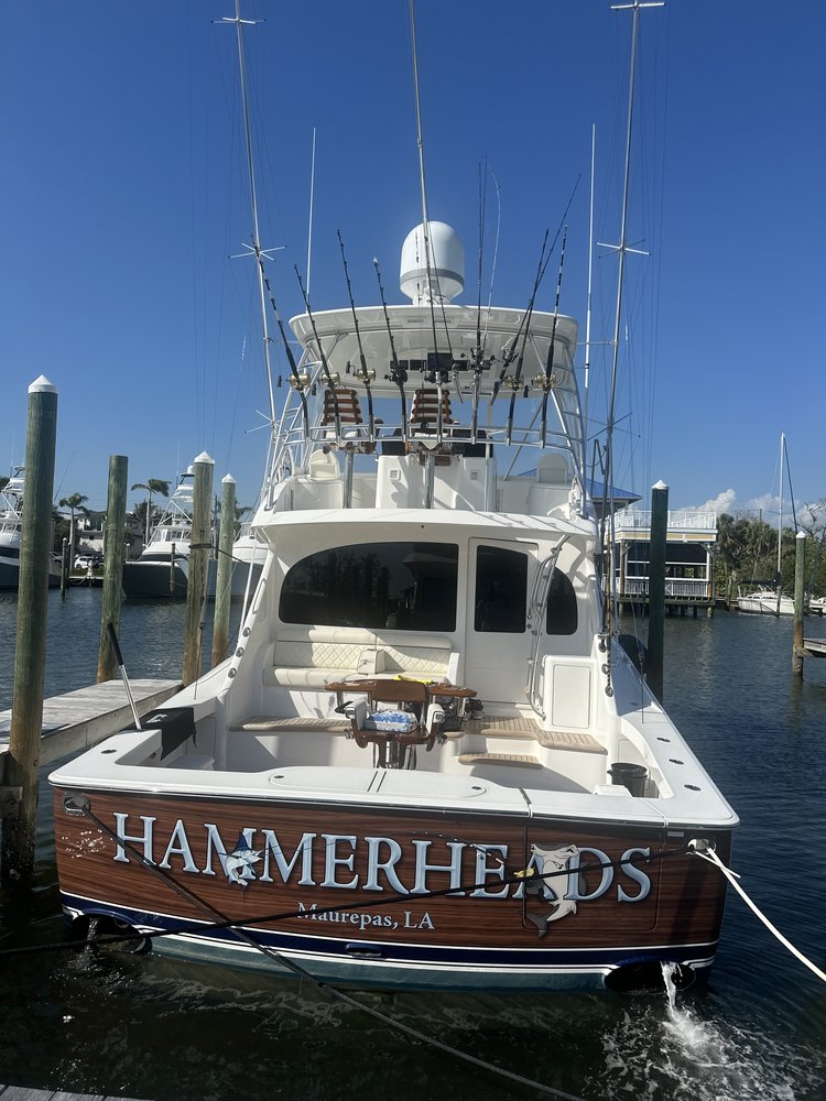 Hammerheads