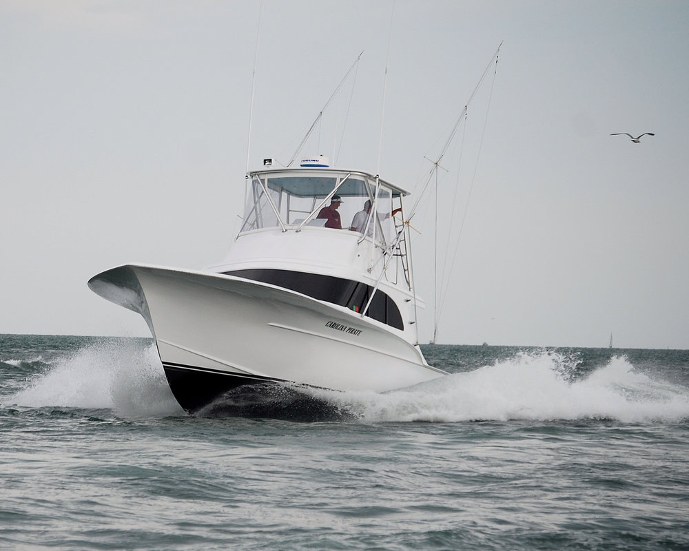 Carolina Pirate photo