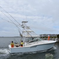 Crazy Tuna