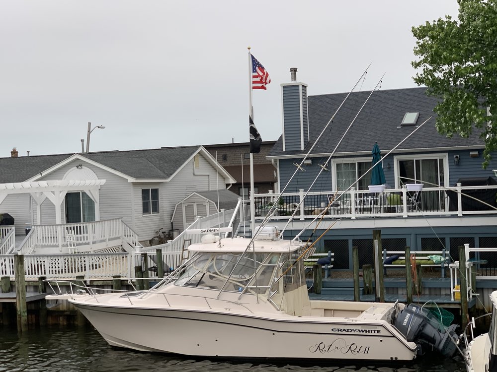 Reel'n Rod II
