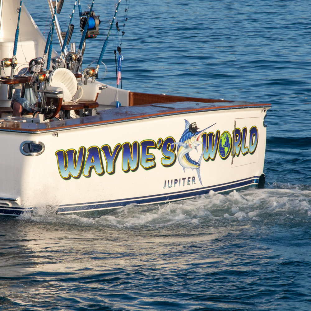 Wayne's World photo