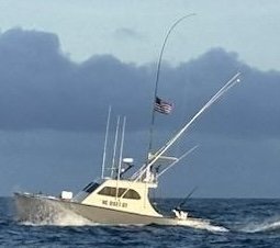 Offshore Outlaw photo