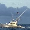 Offshore Outlaw