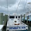 Sparky's Toy