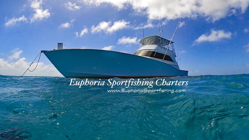 Euphoria photo