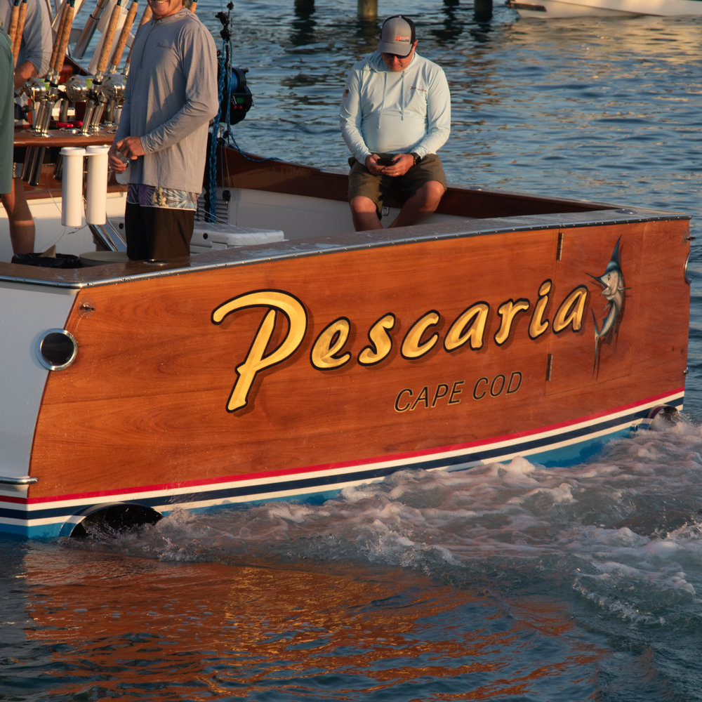 Pescaria photo