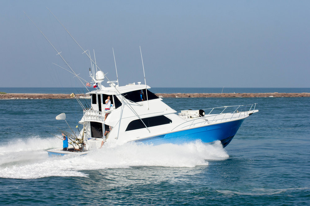 Sea Dollars photo
