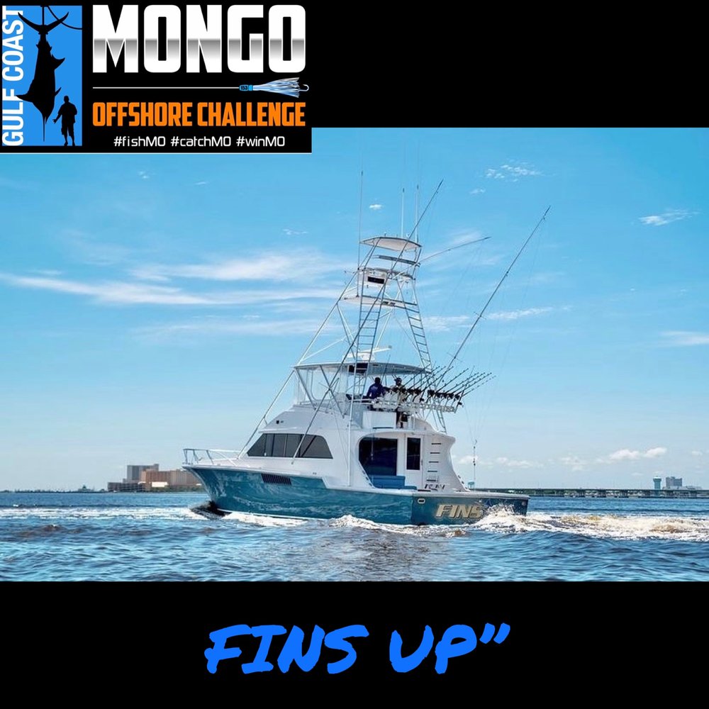 Fins Up