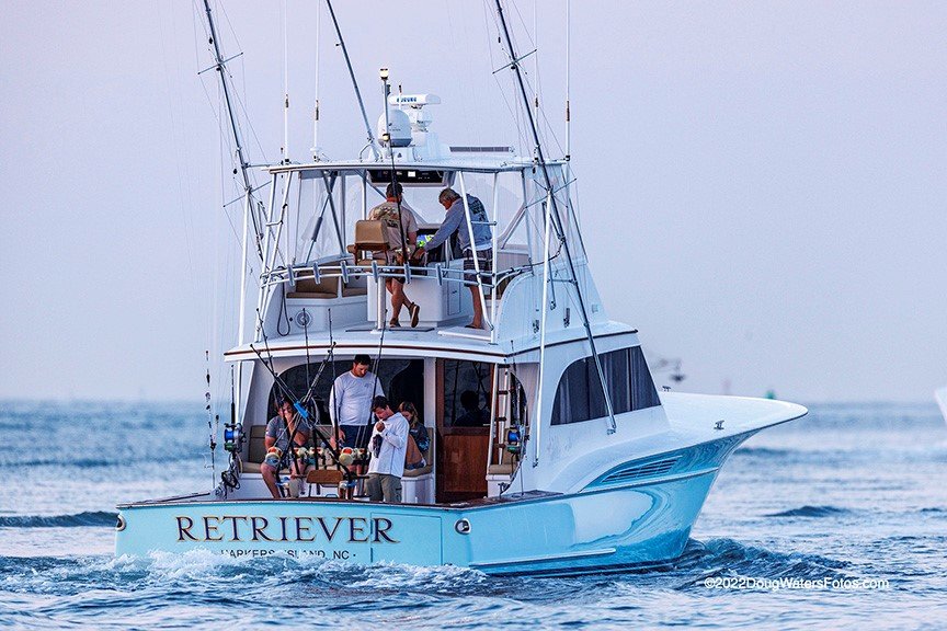 Retriever - Chadwick photo