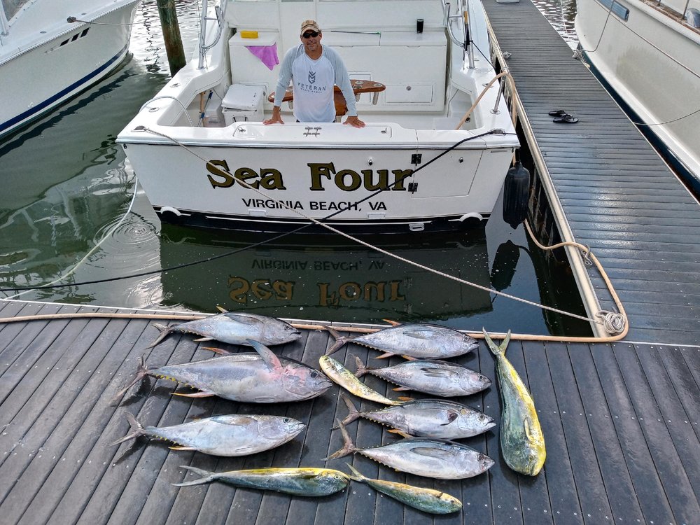 #27 - Sea Four photo