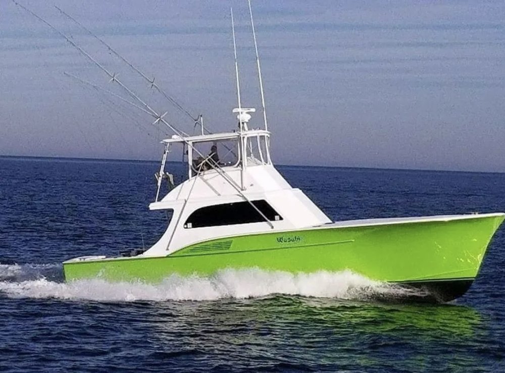 Wasabi photo