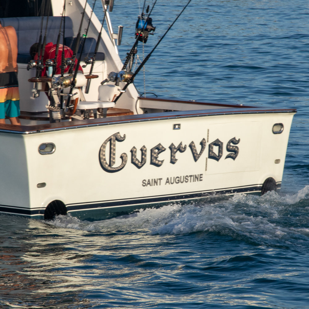Cuervos photo