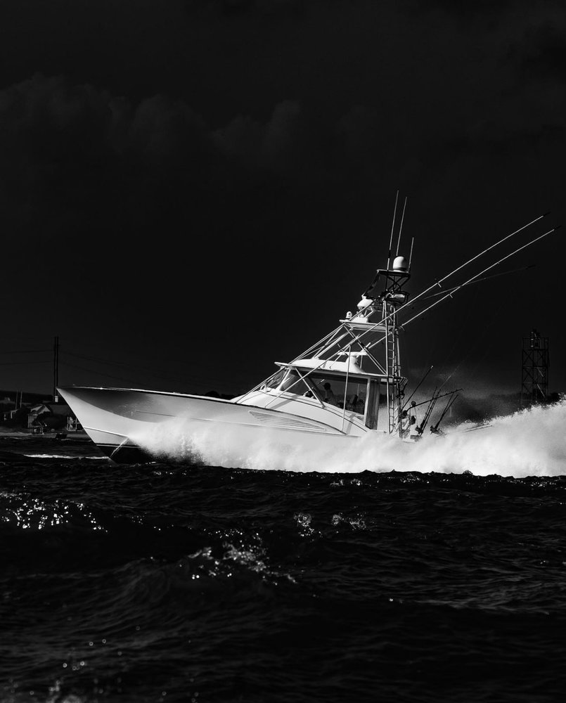 Artemis  photo