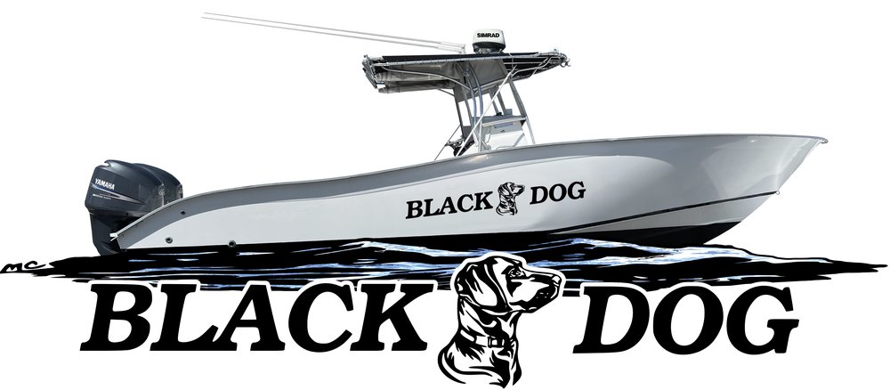 Black dog