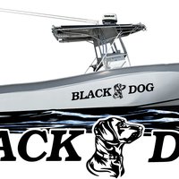Black dog