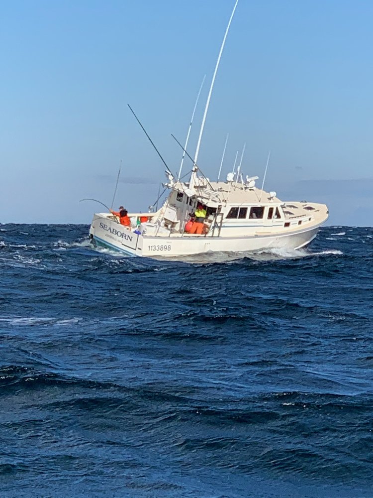 Seaborn photo