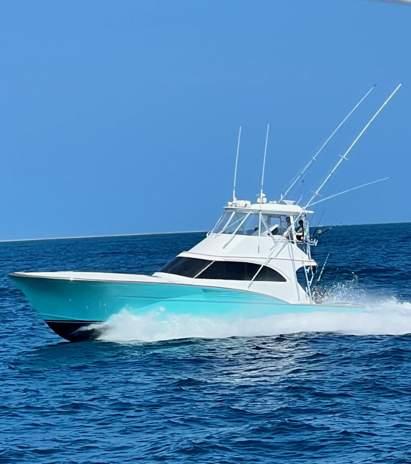 Reel Lineman photo