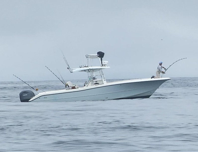 AFISHINSEA photo
