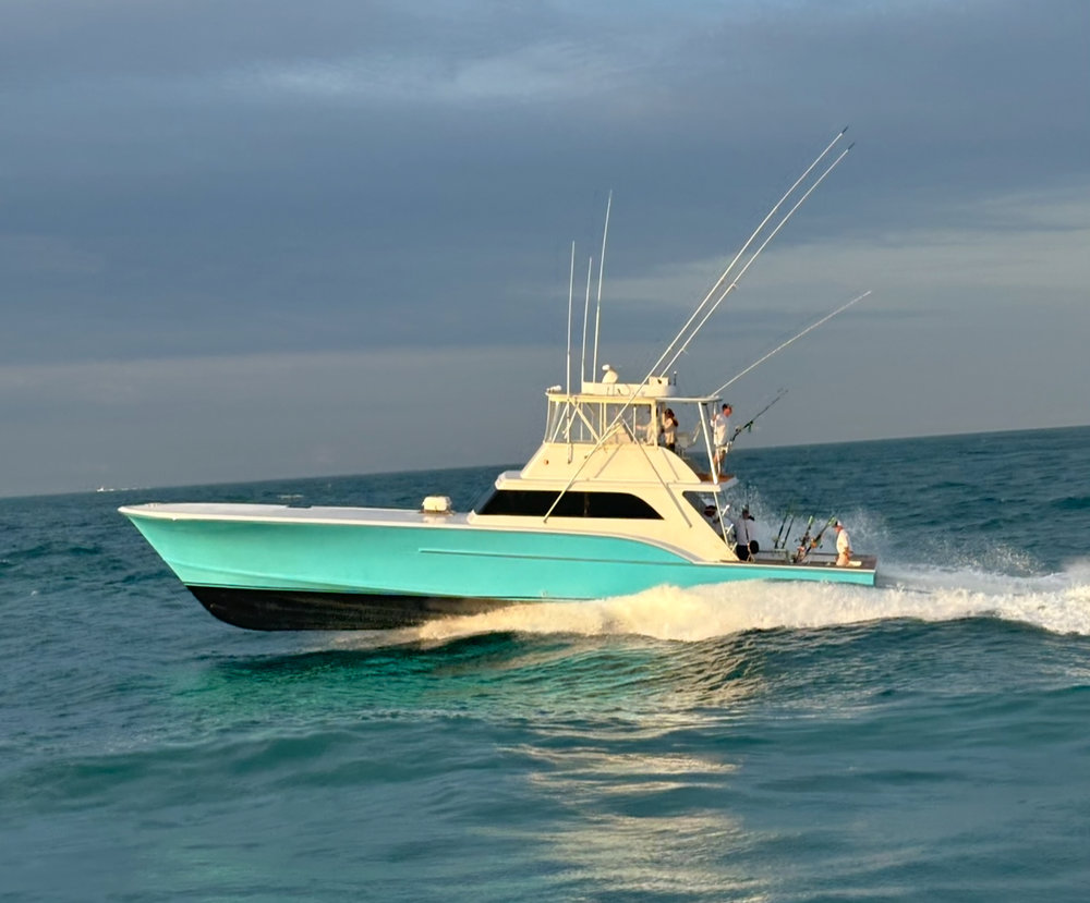 Fin Chaser photo