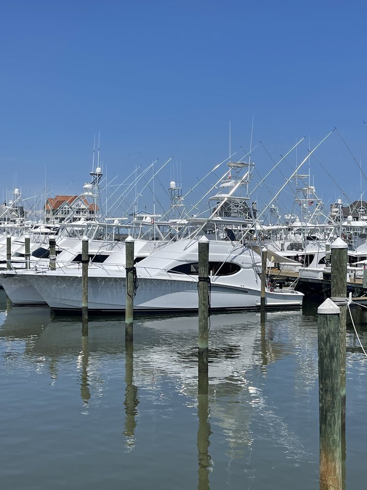 Fishticuffs photo