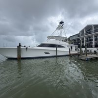 Cutter Bill