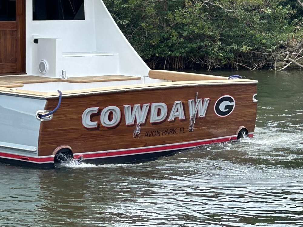COWDAWG photo