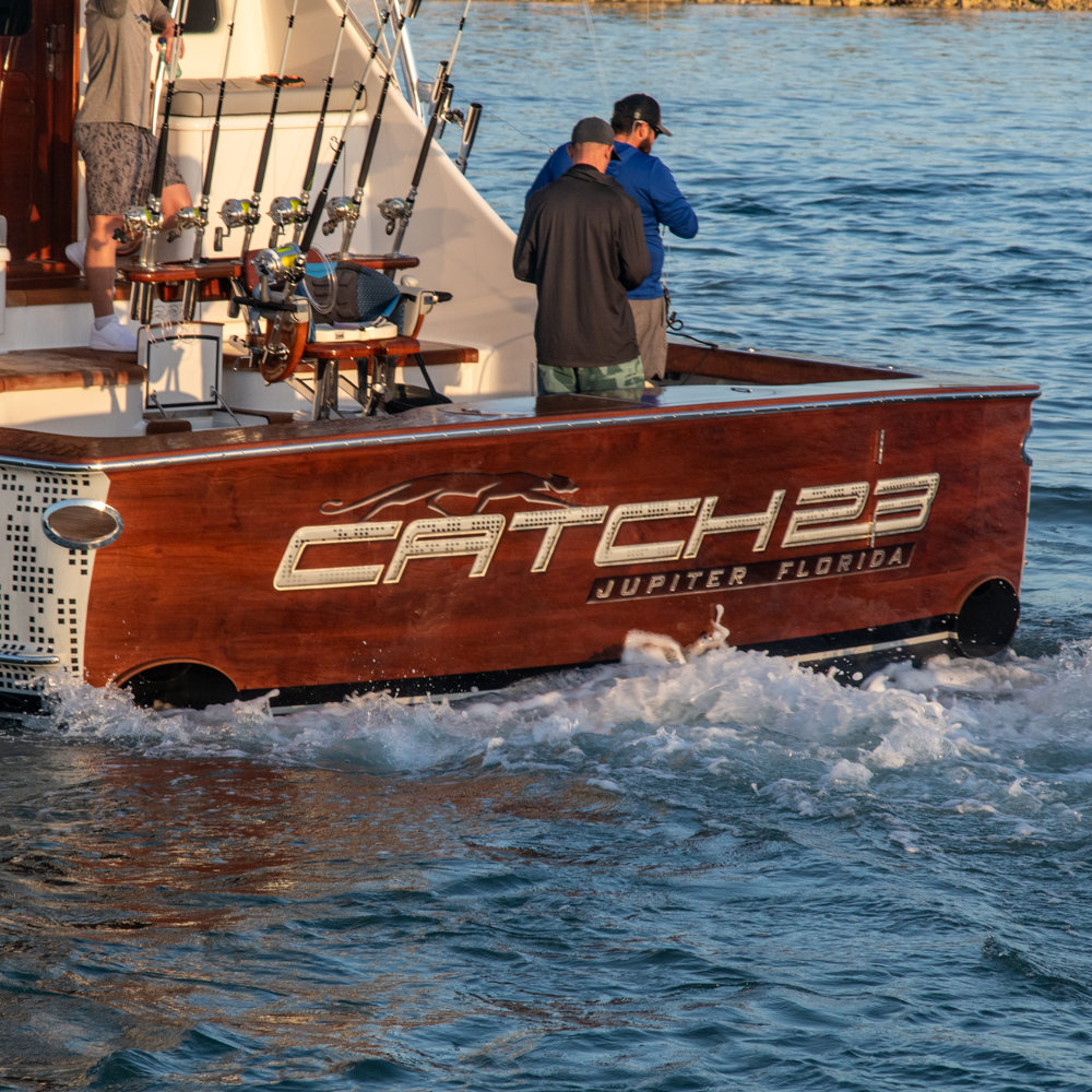 Catch 23 photo