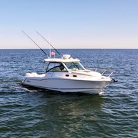 Reel America
