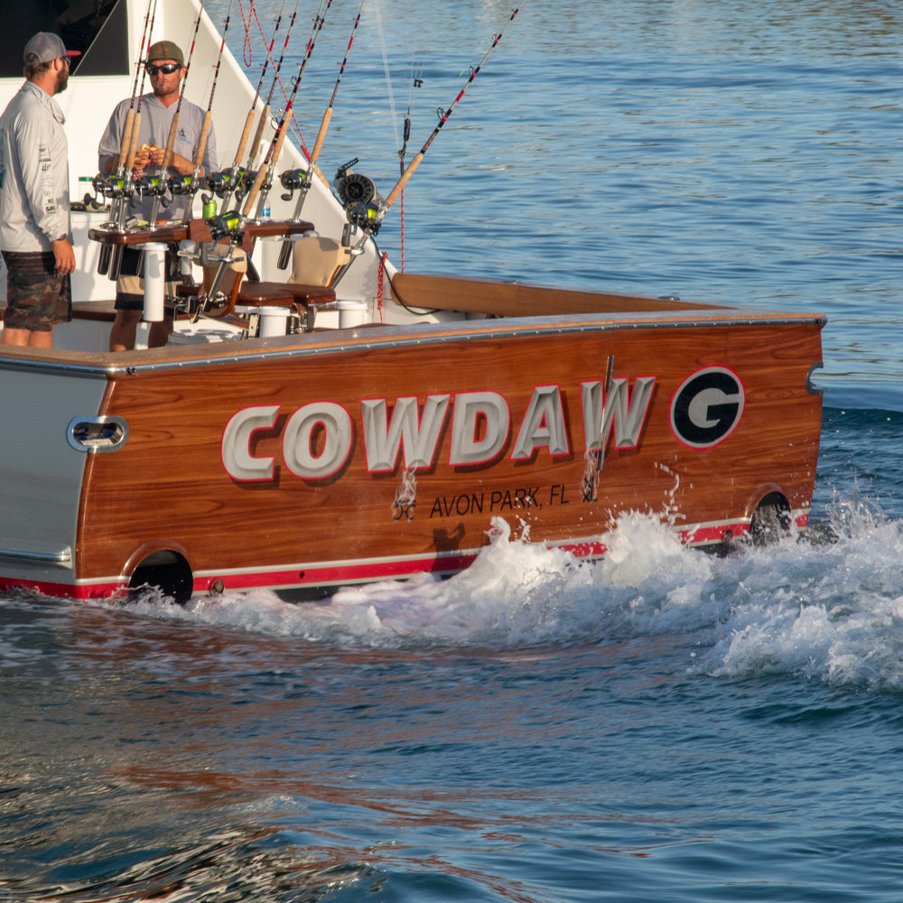 Cowdawg photo
