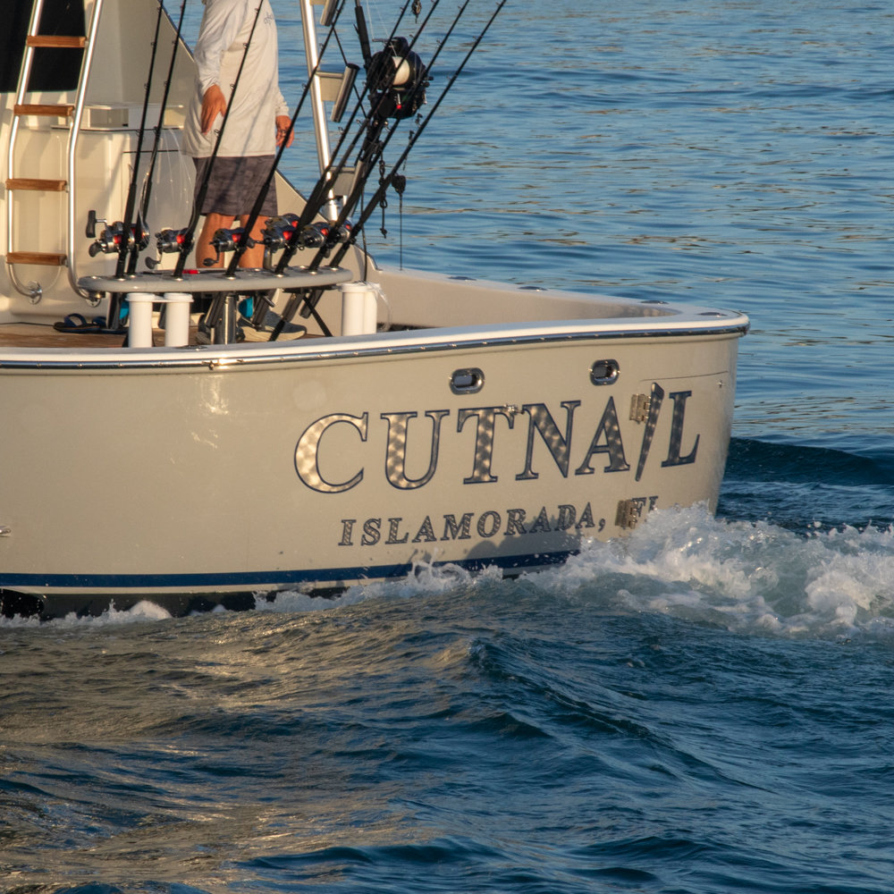 Cutnail photo